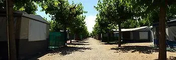 Camping L'alba 2* Creixell