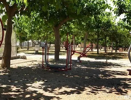 Camping L'alba 2*